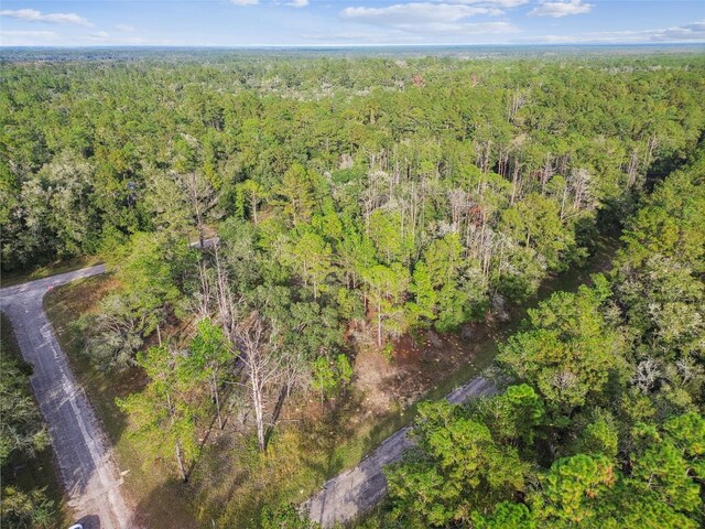 825 E Toledo Dr, Citrus Springs, FL 34434 - photo 11