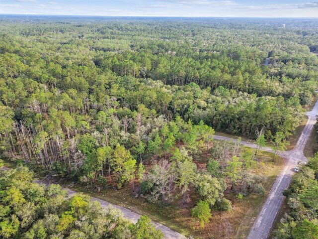 825 E Toledo Dr, Citrus Springs, FL 34434 - photo 13