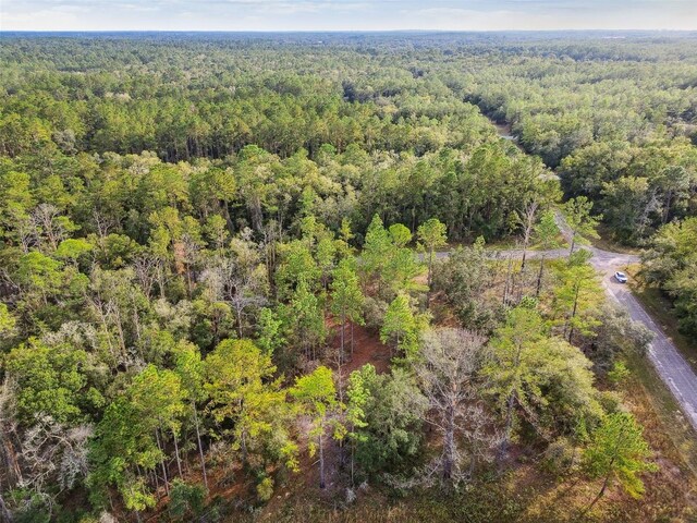825 E Toledo Dr, Citrus Springs, FL 34434 - photo 14