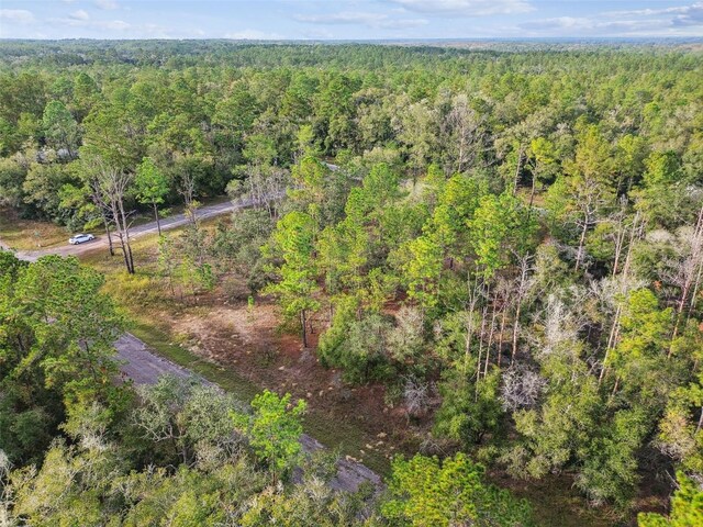 825 E Toledo Dr, Citrus Springs, FL 34434 - photo 16