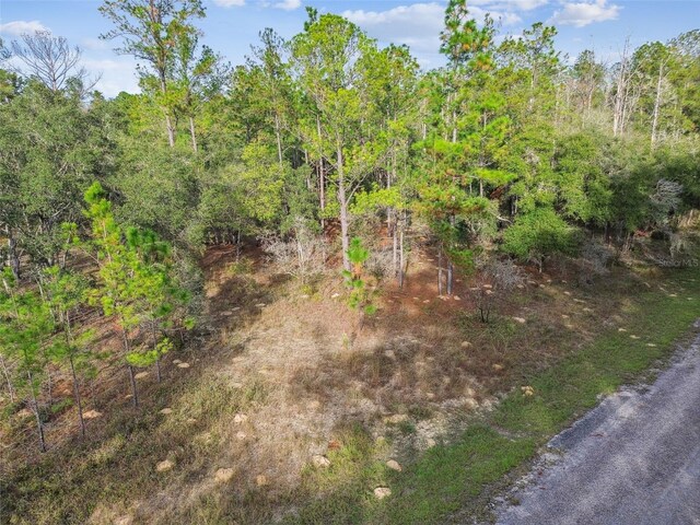 825 E Toledo Dr, Citrus Springs, FL 34434 - photo 18