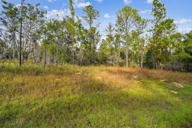 825 E Toledo Dr, Citrus Springs, FL 34434 - photo 19