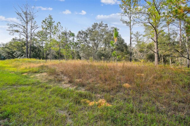 825 E Toledo Dr, Citrus Springs, FL 34434 - photo 22