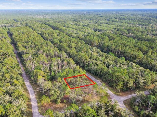 825 E Toledo Dr, Citrus Springs, FL 34434 - photo 23