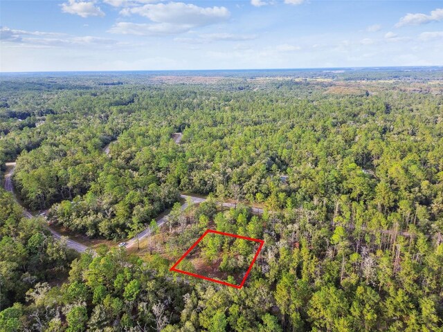 825 E Toledo Dr, Citrus Springs, FL 34434 - photo 26
