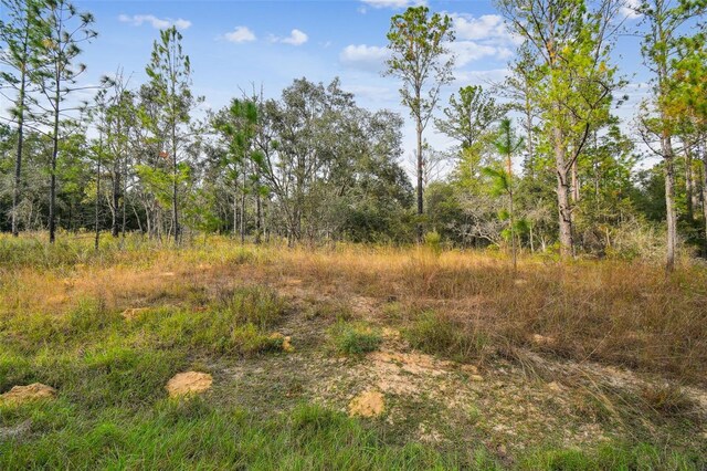 825 E Toledo Dr, Citrus Springs, FL 34434 - photo 28