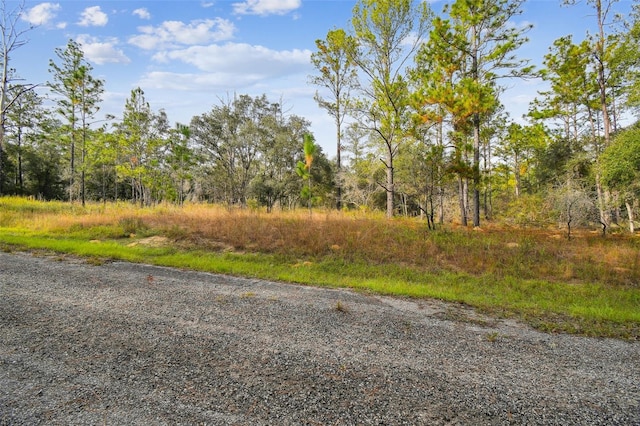 825 E Toledo Dr, Citrus Springs, FL 34434 - photo 29