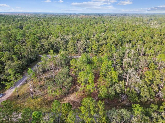 825 E Toledo Dr, Citrus Springs, FL 34434 - photo 33