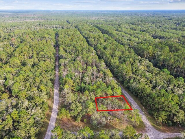 825 E Toledo Dr, Citrus Springs, FL 34434 - photo 34