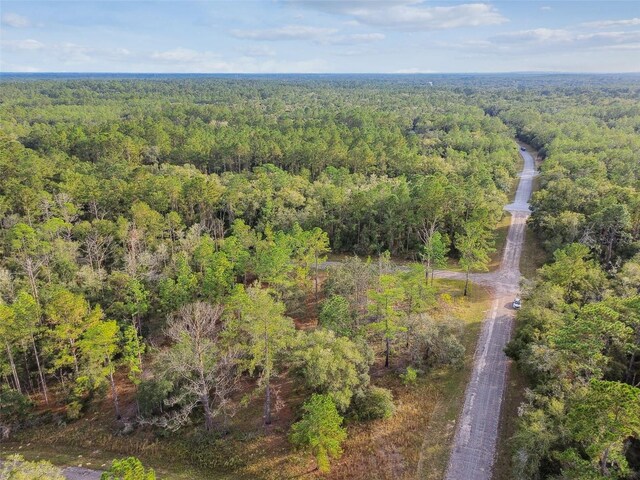 825 E Toledo Dr, Citrus Springs, FL 34434 - photo 35