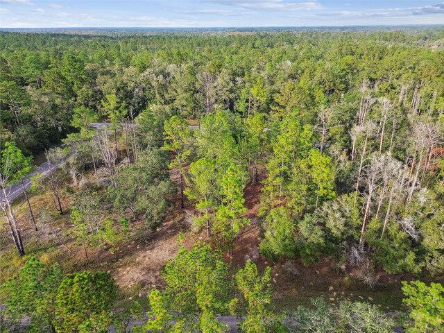 825 E Toledo Dr, Citrus Springs, FL 34434 - photo 36