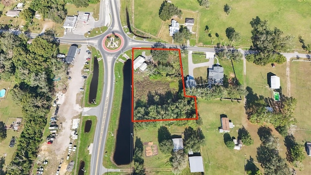 37644 Trilby Rd, Dade City, FL 33523 - photo 8