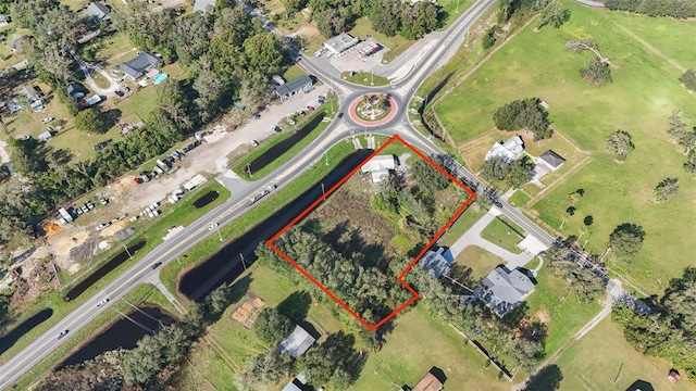 37644 Trilby Rd, Dade City, FL 33523 - photo 9