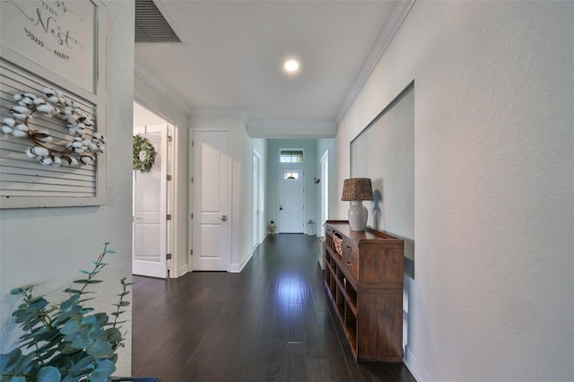 hall with crown molding and dark hardwood / wood-style flooring