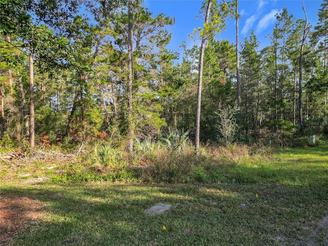 Listing photo 3 for 1 Oak Village Blvd, Homosassa FL 34446