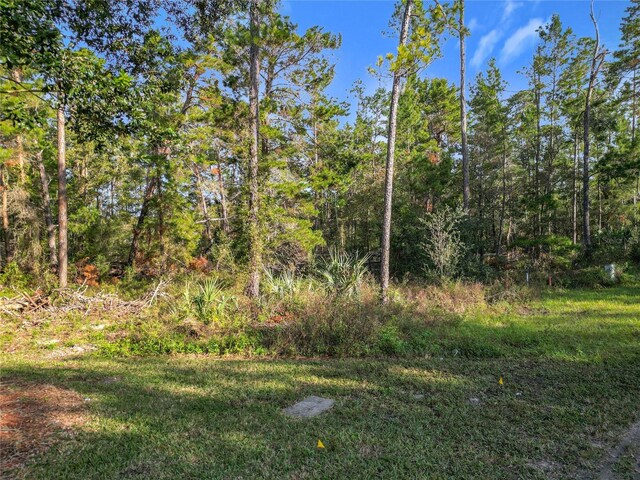 1 Oak Village Blvd, Homosassa, FL 34446 - photo 3