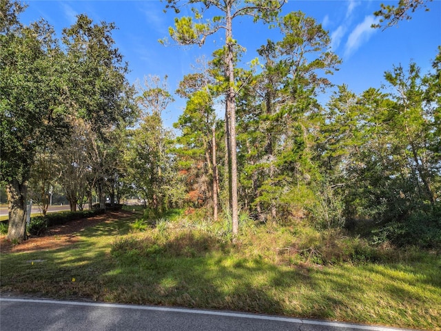 1 Oak Village Blvd, Homosassa, FL 34446 - photo 4