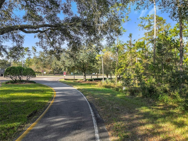 1 Oak Village Blvd, Homosassa, FL 34446 - photo 5
