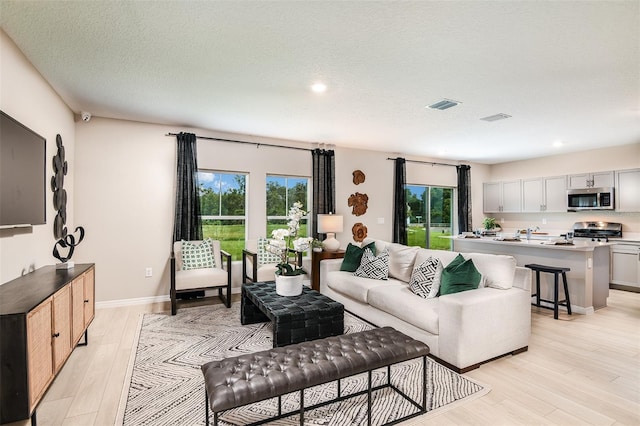 living room featuring light hardwood / wood-style floors and a textured ceiling