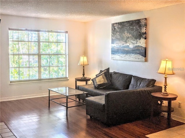 living room featuring a textured ceiling and dark wood-type flooring