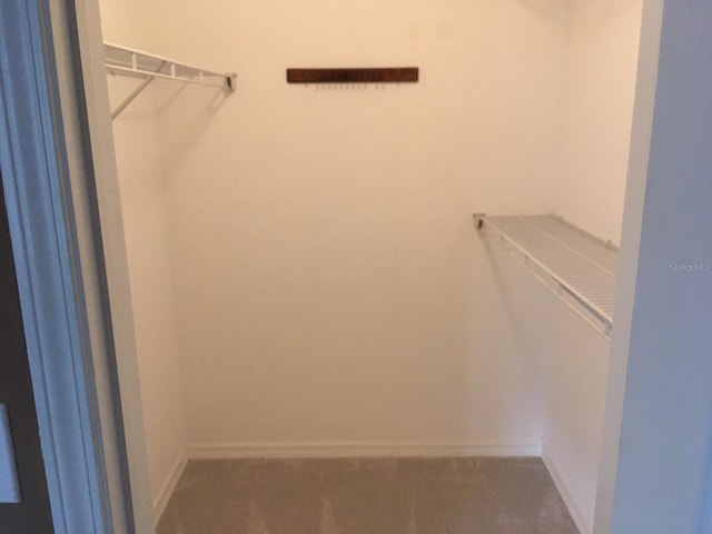 10200 Gandy Blvd N Unit 921, Saint Petersburg, FL 33702 - walk in closet featuring carpet flooring