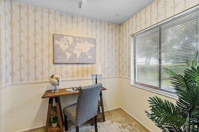 office area with carpet and a textured ceiling