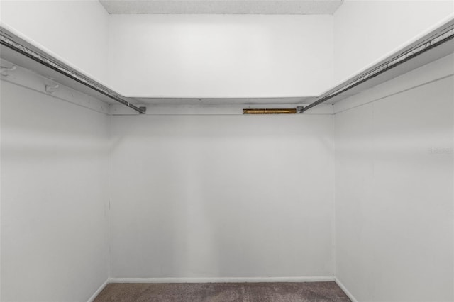 spacious closet with dark colored carpet