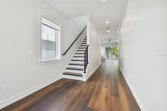 corridor with dark hardwood / wood-style flooring, a wealth of natural light, and ornamental molding