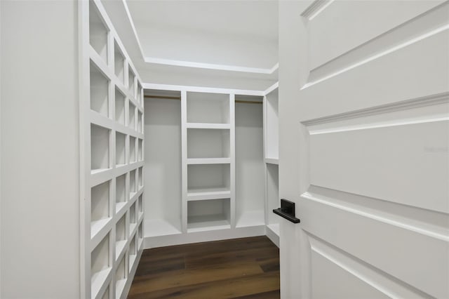 spacious closet with dark hardwood / wood-style floors