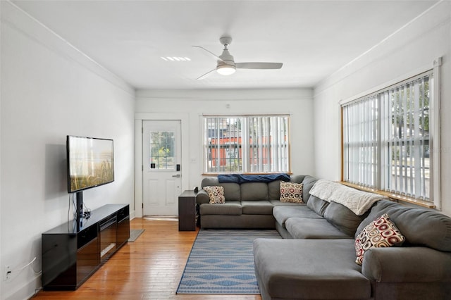 living room with ceiling fan, light wood-type flooring, and crown molding