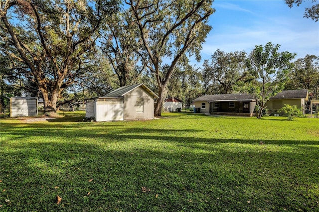 view of yard featuring a shed