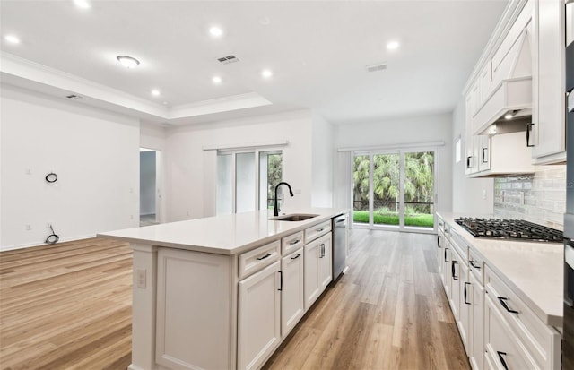 kitchen featuring light wood finished floors, a raised ceiling, appliances with stainless steel finishes, and a sink