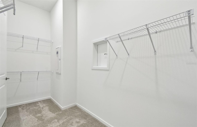 spacious closet featuring carpet floors and a high ceiling