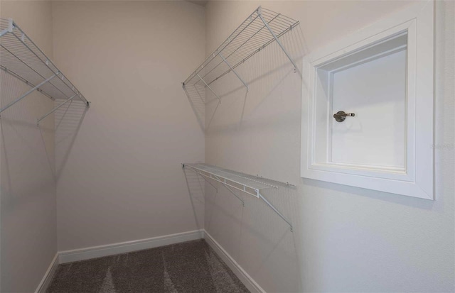 spacious closet with carpet flooring