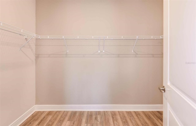 walk in closet featuring hardwood / wood-style flooring