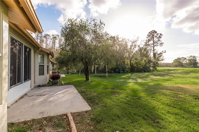 view of yard featuring a patio