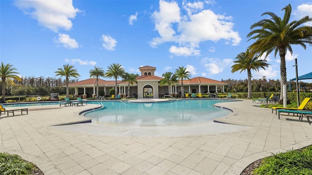 view of pool featuring a patio area