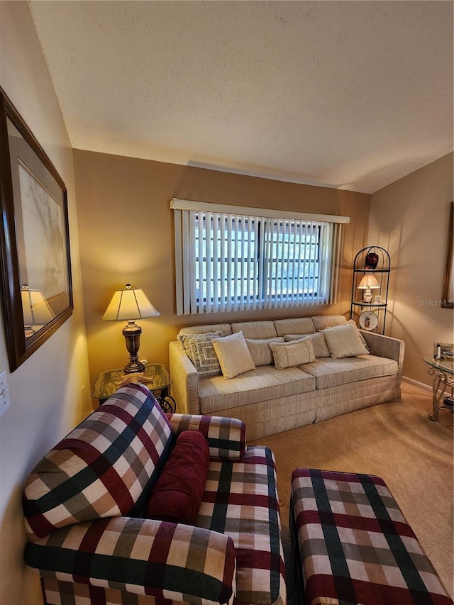 living room featuring carpet flooring and a textured ceiling