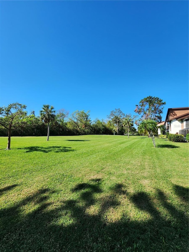 4632 Red Maple Rd Unit 1204, Bradenton, FL 34210 - view of green lawn