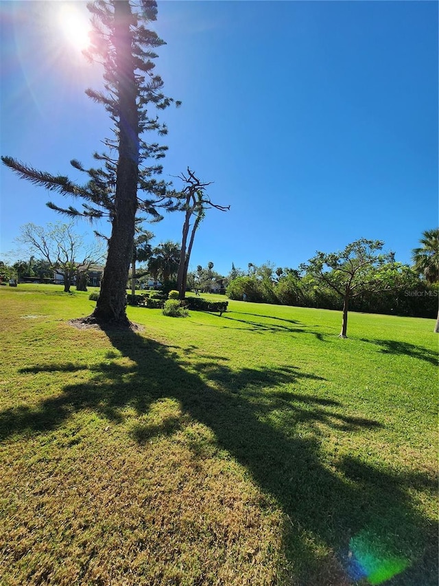4632 Red Maple Rd Unit 1204, Bradenton, FL 34210 - view of green lawn