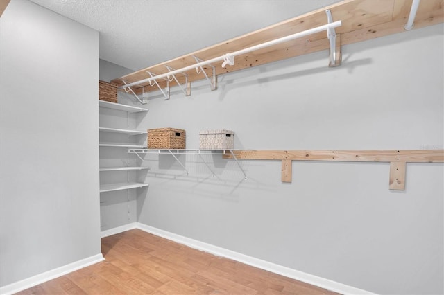 walk in closet with hardwood / wood-style flooring