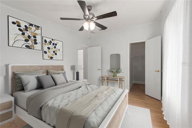 bedroom with ceiling fan, ornamental molding, a spacious closet, and light wood-type flooring