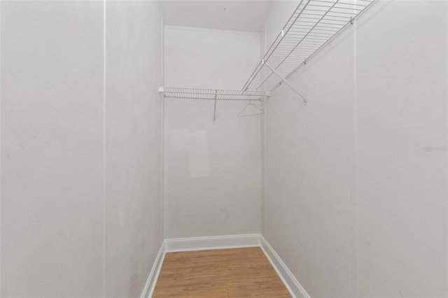 walk in closet with wood-type flooring