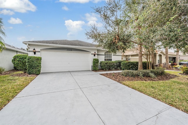 10230 Old Tampa Bay Dr, San Antonio, FL 33576 - photo 1