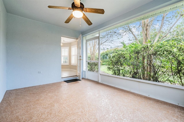 10230 Old Tampa Bay Dr, San Antonio, FL 33576 - photo 5