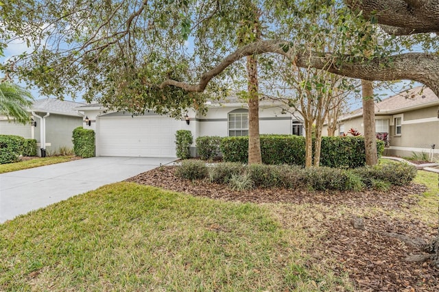 10230 Old Tampa Bay Dr, San Antonio, FL 33576 - photo 21