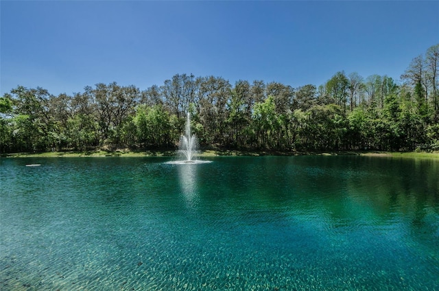 view of water feature