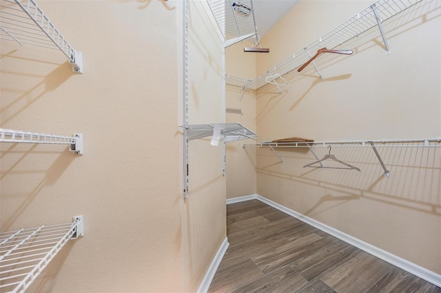 walk in closet with hardwood / wood-style flooring