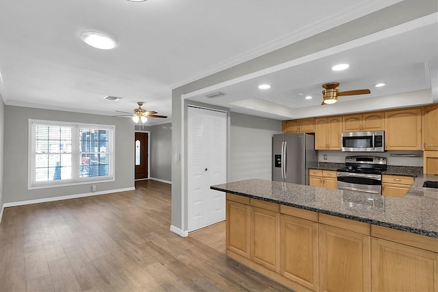 kitchen with ceiling fan, appliances with stainless steel finishes, dark stone countertops, and light wood-style flooring