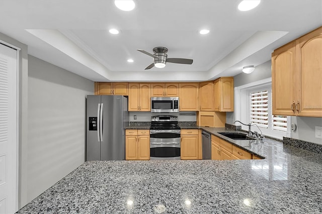 kitchen featuring a tray ceiling, stainless steel appliances, a ceiling fan, a sink, and dark stone countertops